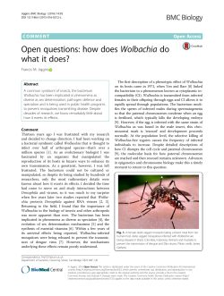 Open questions: how does Wolbachia do what it does?