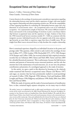 Occupational Status and the Experience of Anger