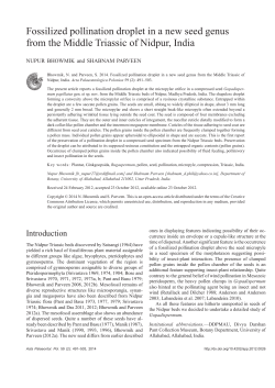 Fossilized pollination droplet in a new seed genus from the Middle