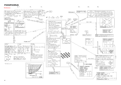 Phosphorus (Part I)