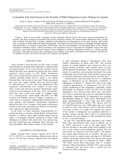 Coincident Tick Infestations in the Nostrils of Wild Chimpanzees and