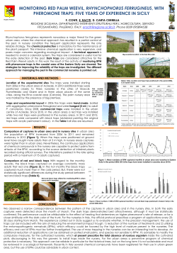 monitoring red palm weevil, rhynchophorus ferrugineus, with