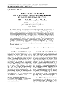 Magnetotropism of roots and structure of their statocytes exposed to