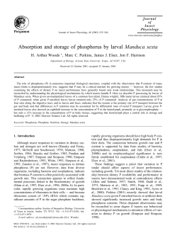 Absorption and storage of phosphorus by larval