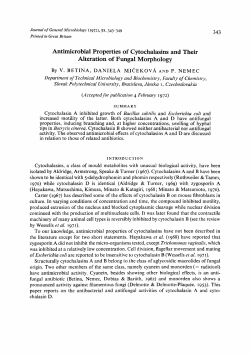 Antimicrobial Properties of Cytochalasins and Their