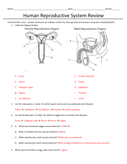Human Reproductive System Review