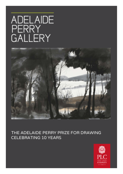 celebrating 10 years the adelaide perry prize for drawing