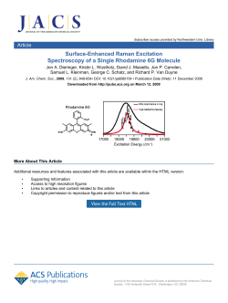 Surface-Enhanced Raman Excitation Spectroscopy of a Single