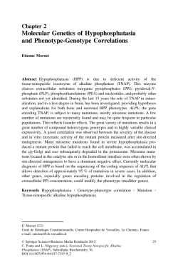 Molecular Genetics of Hypophosphatasia and Phenotype
