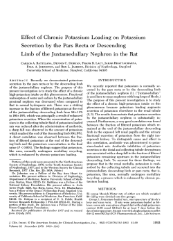 Effect of Chronic Potassium Loading on Potassium Secretion