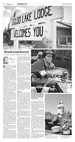 Brook trout heaven