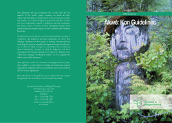 Akw&eacute;: Kon Guidelines
