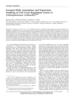Genome-Wide Annotation and Expression Profiling of Cell Cycle