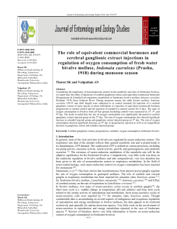 The role of equivalent commercial hormones and cerebral
