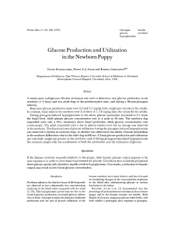 Glucose Production and Utilization in the Newborn Puppy