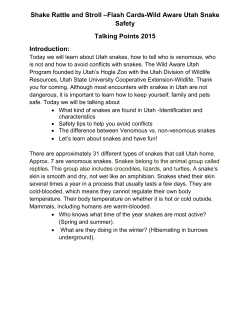 Snake Safety Flash Cards – Talking Points