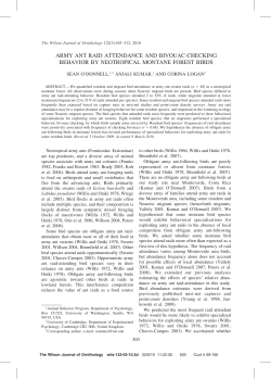 army ant raid attendance and bivouac-checking