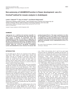 Non-autonomy of AGAMOUS function in flower development: use of