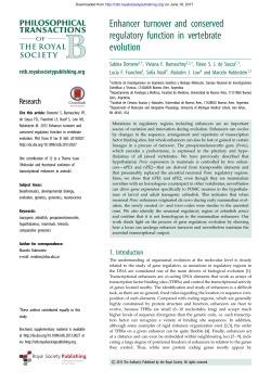 Enhancer turnover and conserved regulatory function in vertebrate