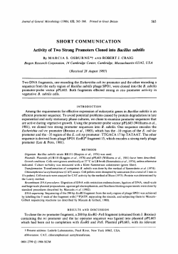 SHORT COMMUNICATION Activity of Two Strong