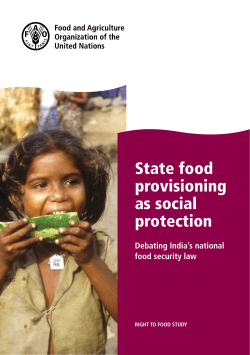 State food provisioning as social protection &ndash; Debating India`s