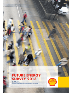 future energy survey 2013