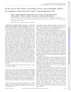 On the role of ATP release, ectoATPase activity, and - AJP-Cell