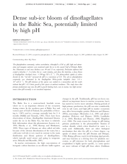 Dense sub-ice bloom of dinoflagellates in the