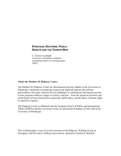 strategic doctrine, public debate and the terror war