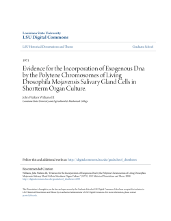 Evidence for the Incorporation of Exogenous Dna by the Polytene