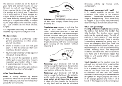 The extensor tendons lie on the back of your hand and connect