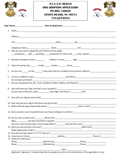 pluto dog adoption application