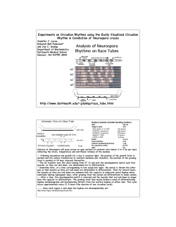 Experiments on Circadian Rhythms using the Easily Visualized