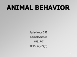 Unit 2: Animal Behavior