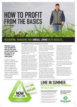 lIME In SuMMER, lIME In SuMMER