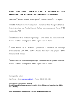 modelling root and soil heterogeneity using the concept of func