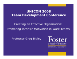 Creating An Effective Organization: Promoting Instrinsic