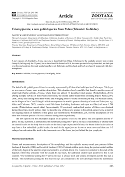 Eviota piperata, a new gobiid species from Palau (Teleostei: Gobiidae)