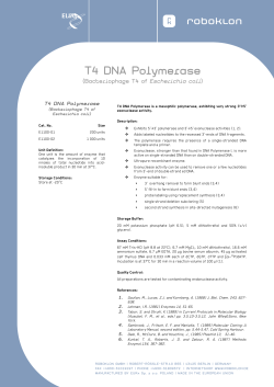 T4 DNA Polymerase