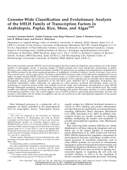 Genome-Wide Classification and Evolutionary