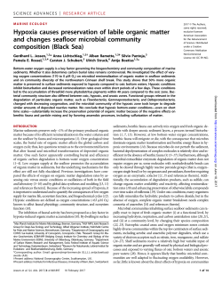 Hypoxia causes preservation of labile organic matter and changes