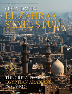 OPEN DAY IN - Tutto Arabi