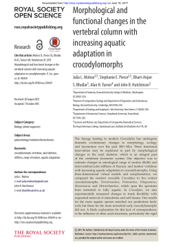 Morphological and functional changes in the vertebral column with