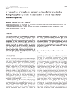 In vivo analyses of cytoplasmic transport and cytoskeletal