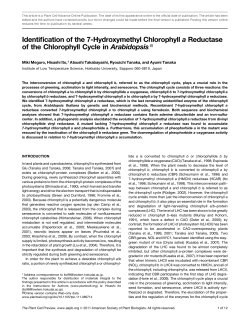 Identification of the 7-Hydroxymethyl Chlorophyll a