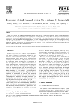 Expression of staphylococcal protein Sbi is induced by human IgG