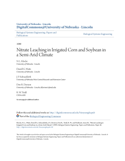 Nitrate Leaching in Irrigated Corn and Soybean in a Semi