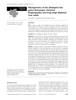 Phylogenetics of the allodapine bee genus Braunsapis: historical
