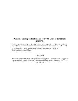 Genome Editing in Escherichia coli with Cas9 and synthetic CRISPRs