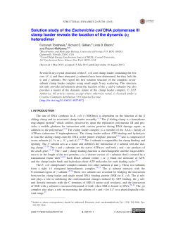 Solution study of the Escherichia coli DNA polymerase III clamp